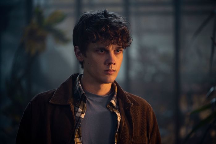 ტაილერი/ჰაიდი