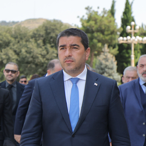 შალვა პაპუაშვილი