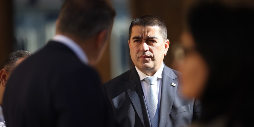 შალვა პაპუაშვილი