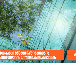 ეროვნული ბანკი: საქართველოს ბანკი მწვანე დაფინანსების მიმართულებით ლიდერის პოზიციას ინარჩუნებს