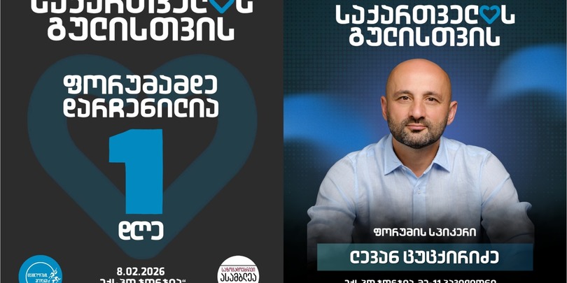 საქართველოს გულისთვის